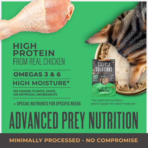 Tiki Cat Solutions Dental Baked Kibble Chicken Dry Cat Food 2.8lb - Poudre Pet & Feed Supply 4